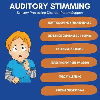 boy with sensory processing disorder auditory Stimming stim 