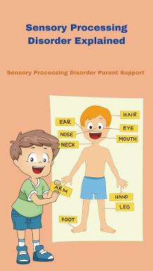child with sensory processing disorder explaining sensory processing disorder on a poster of a child Sensory Processing Disorder Explained 